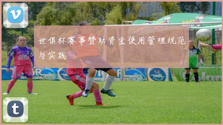 世俱杯赛事赞助资金使用管理规范与实践