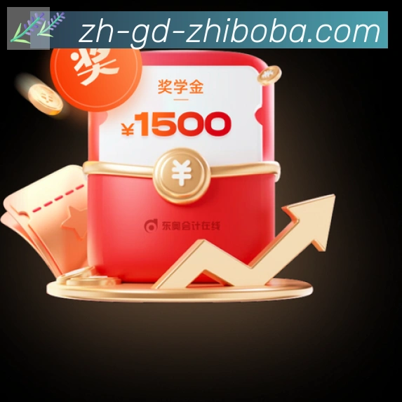 未来规划